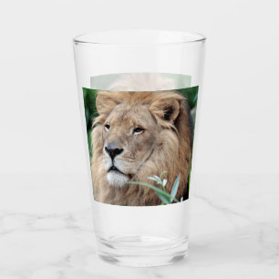 Lion 021 glass
