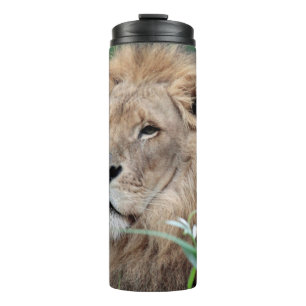 Lion 021 thermal tumbler