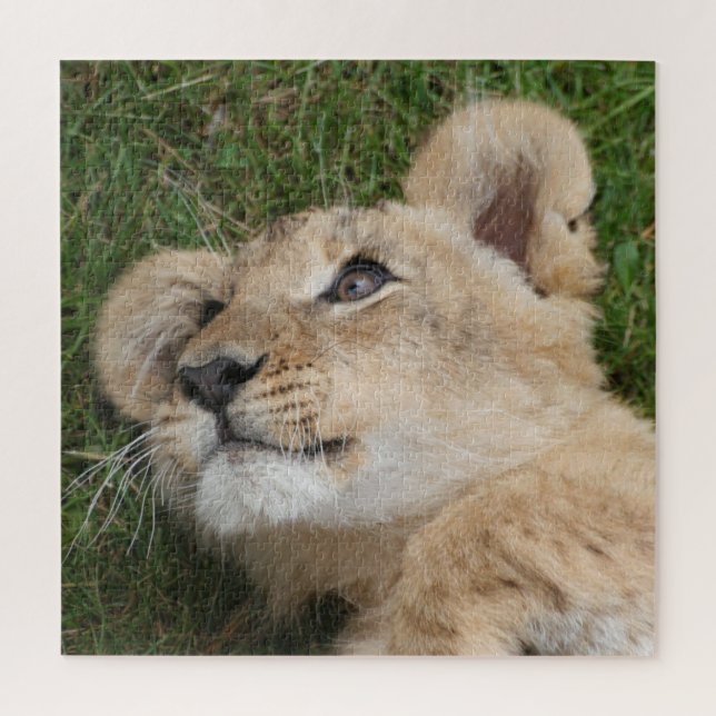 Lion 022 jigsaw puzzle (Vertical)