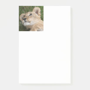 Lion 022 post-it notes