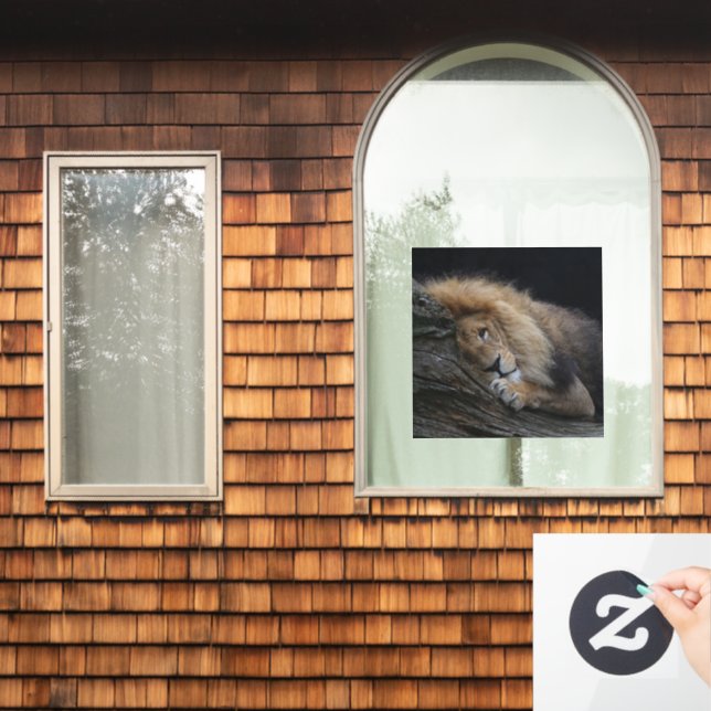 Lion 030 (Home Window)