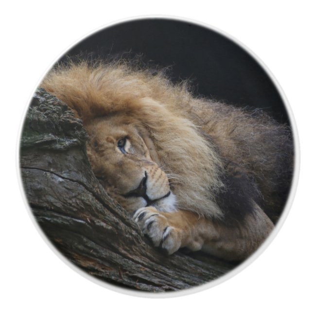 Lion 030 ceramic knob (Front)