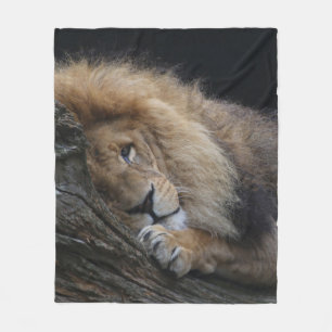 Lion 030 fleece blanket