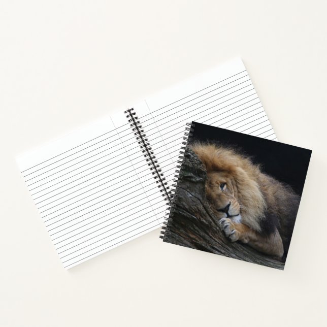 Lion 030 notebook (Inside)