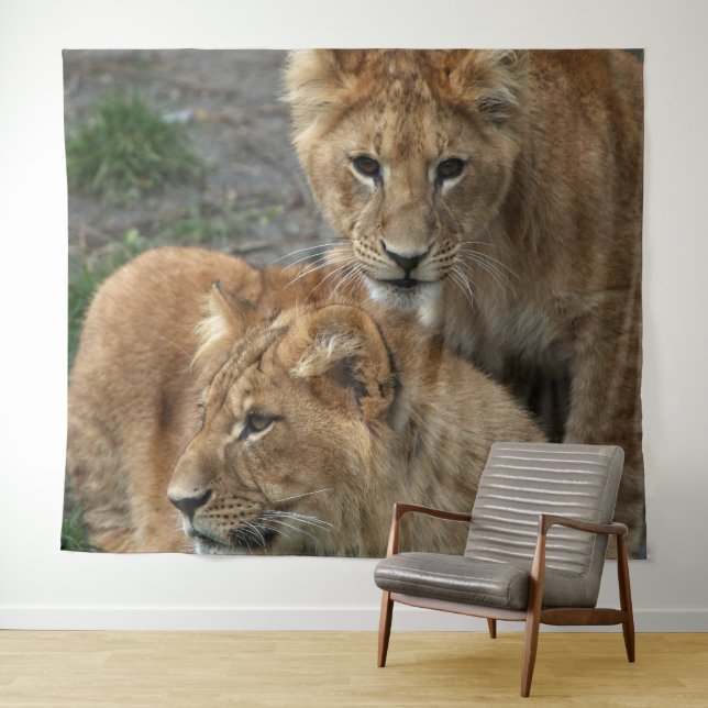 Lion 033 tapestry (In Situ (Horizontal))