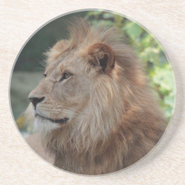 Lion 035 coaster (Front)