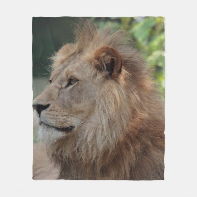 Lion 035 fleece blanket (Front)