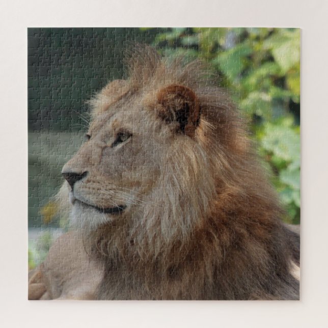 Lion 035 jigsaw puzzle (Vertical)