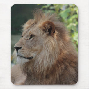 Lion 035 mouse pad