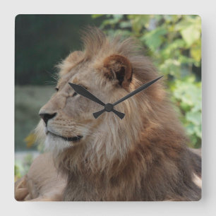 Lion 035 square wall clock