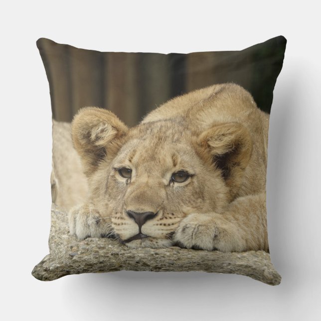 Lion 040 cushion (Front)