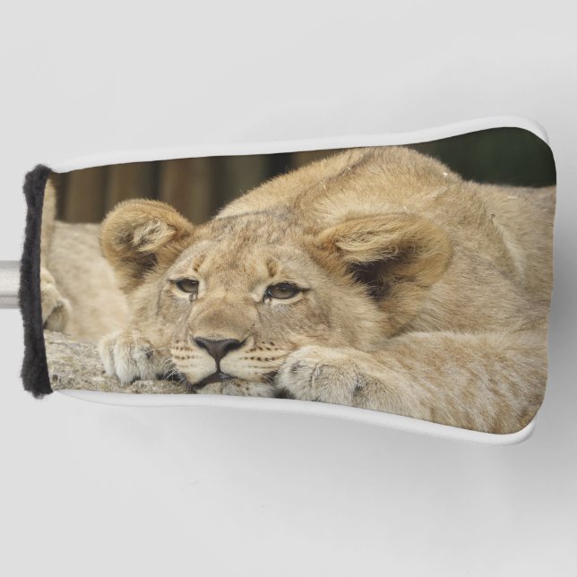 Lion 040 golf head cover (Front)
