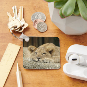 Lion 040 key ring