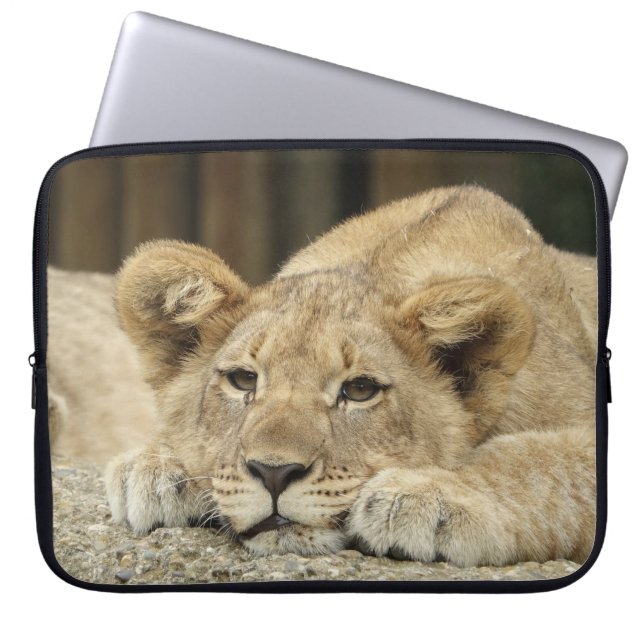 Lion 040 laptop sleeve (Front)