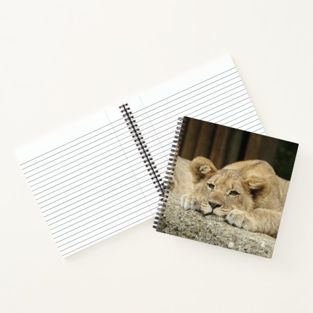 Lion 040 notebook (Inside)
