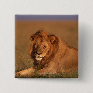 Lion 15 Cm Square Badge