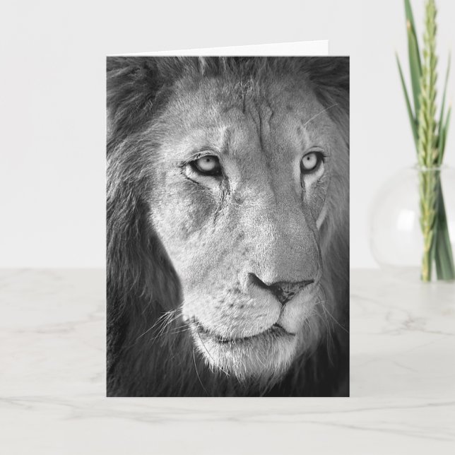 Lion #1-Greeting card (Front)