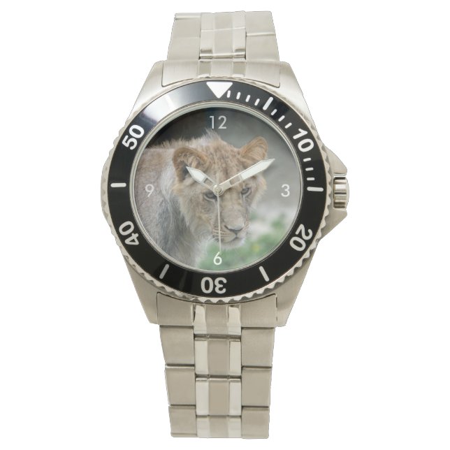 Lion_2014_1101 Watch (Front)
