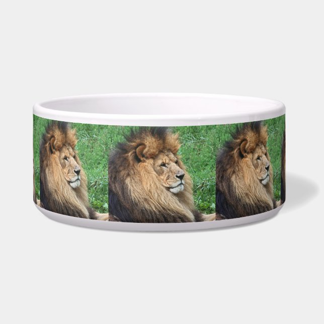 Lion_2015_0701 (Front)