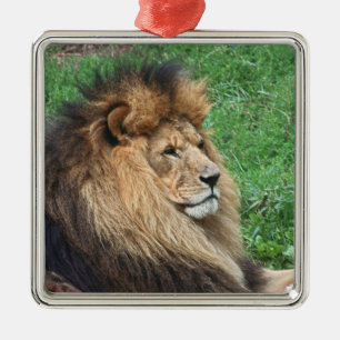 Lion_2015_0701 Metal Ornament