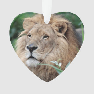 Lion_2015_0801 Ornament
