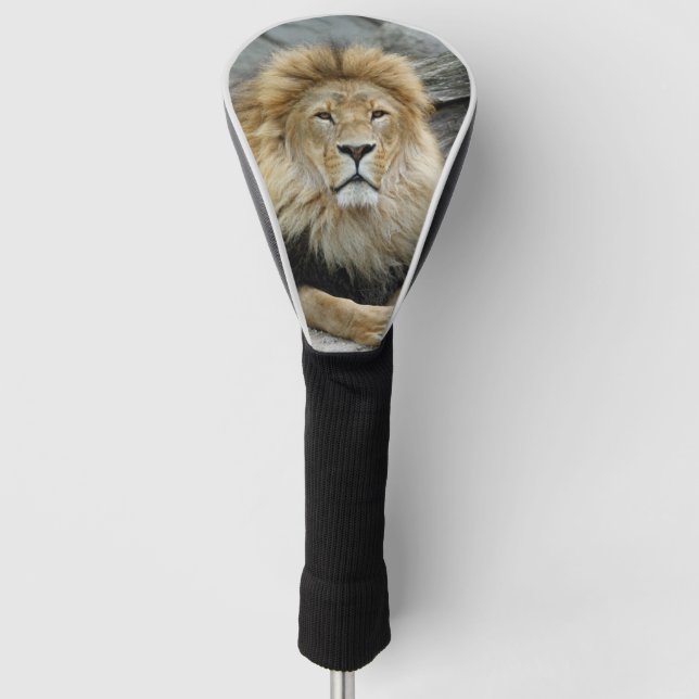 Lion_2023-02 Golf Head Cover (Front)