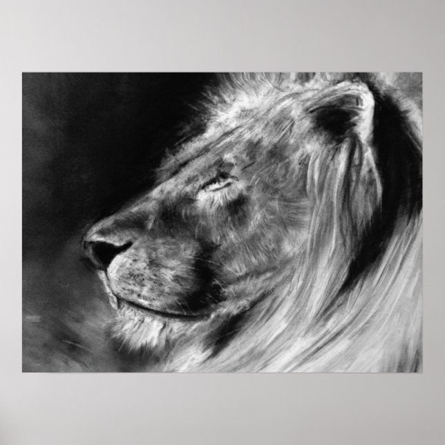 lion 24X18 poster (Front)