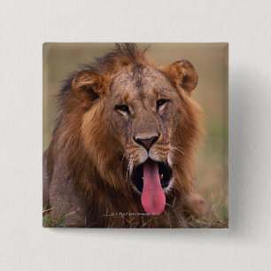 Lion 2 15 cm square badge