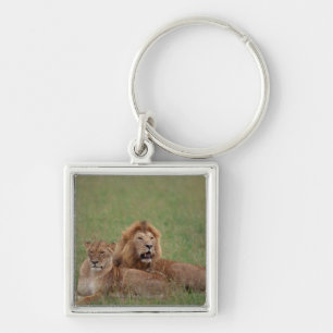 Lion 2 key ring