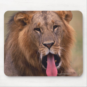 Lion 2 mouse pad