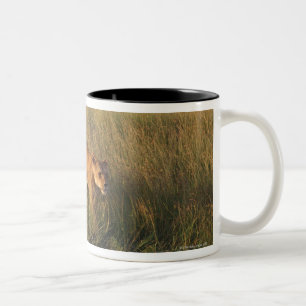 Lion 2 Two-Tone coffee mug