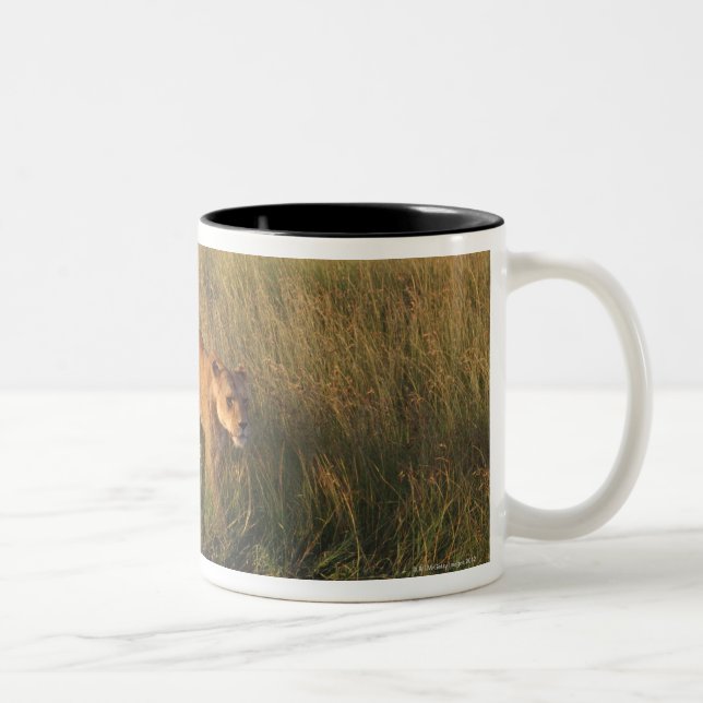 Lion 2 Two-Tone coffee mug (Right)