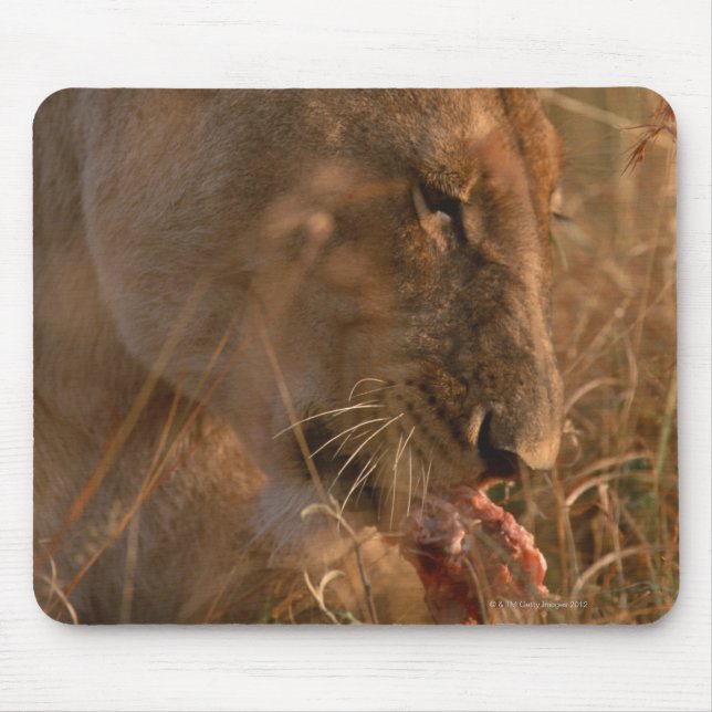 Lion 3 mouse pad (Front)