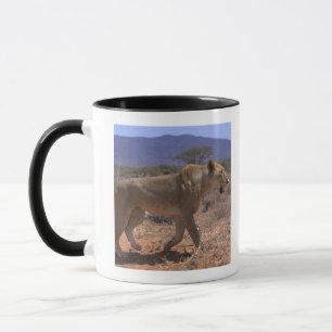 Lion 3 mug