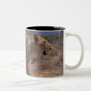 Lion 3 Two-Tone coffee mug