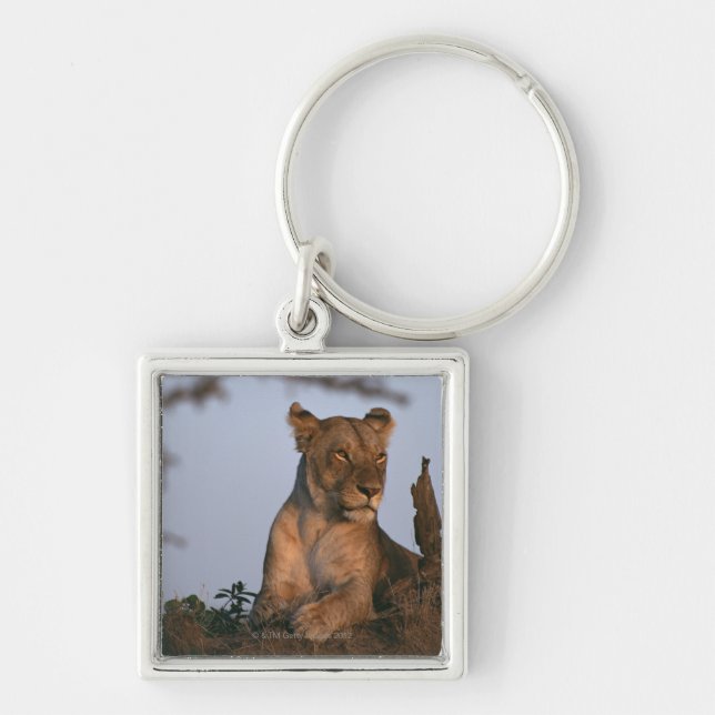 Lion 4 key ring (Front)
