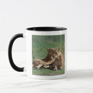 Lion 5 mug