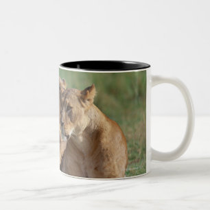 Lion 5 Two-Tone coffee mug