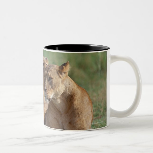 Lion 5 Two-Tone coffee mug (Right)