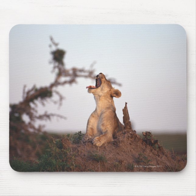 Lion 7 mouse pad (Front)