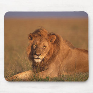 Lion 8 mouse pad