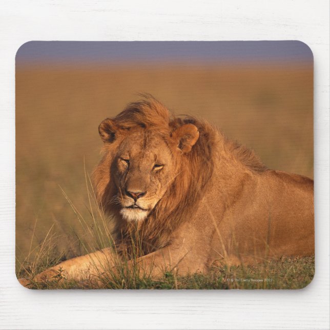 Lion 8 mouse pad (Front)