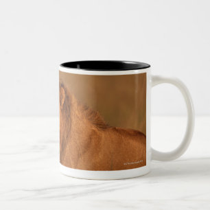 Lion 8 Two-Tone coffee mug