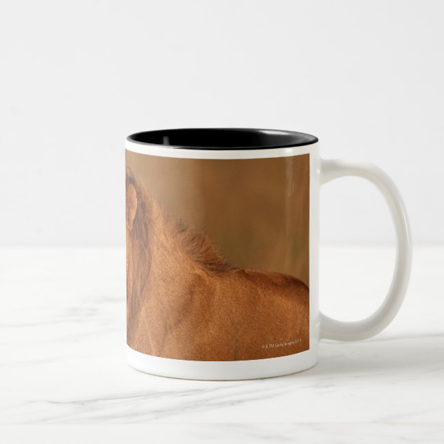 Lion 8 Two-Tone coffee mug (Right)