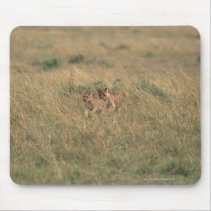 Lion 9 mouse pad