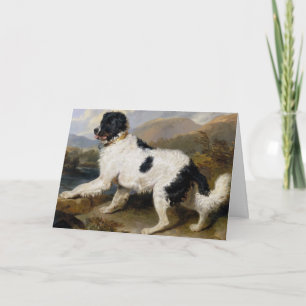 Lion: A Newfoundland Dog Folded Greeting Card