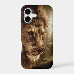 Lion against stormy sky