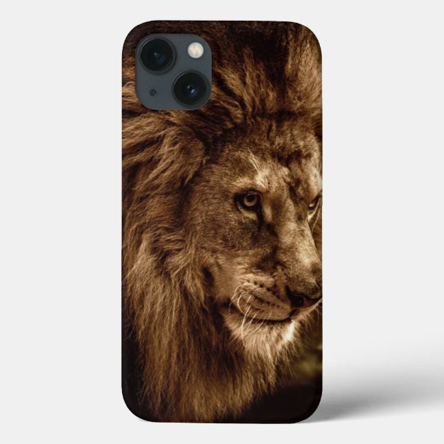 Lion against stormy sky Case-Mate iPhone case (Back)