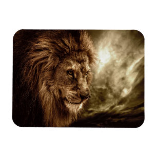 Lion against stormy sky magnet
