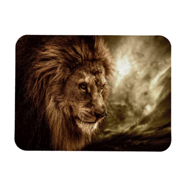 Lion against stormy sky magnet (Horizontal)